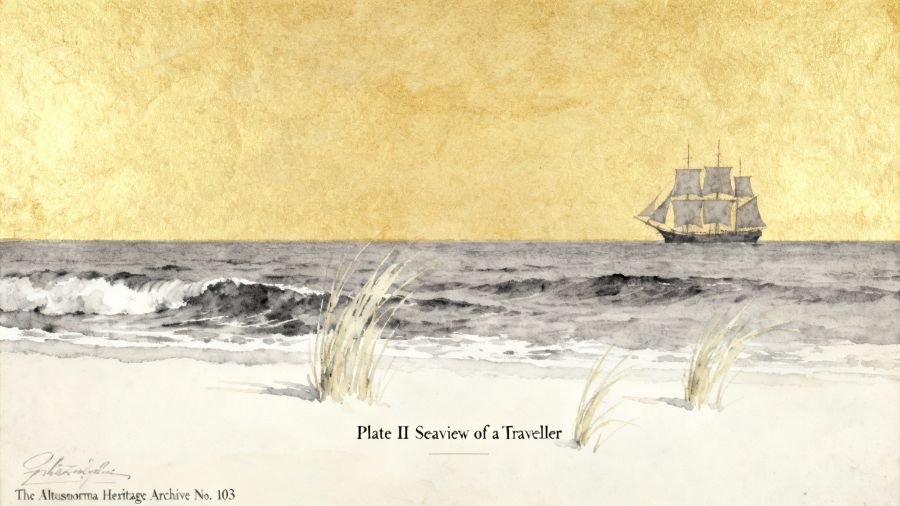 Seaview of a Traveller 